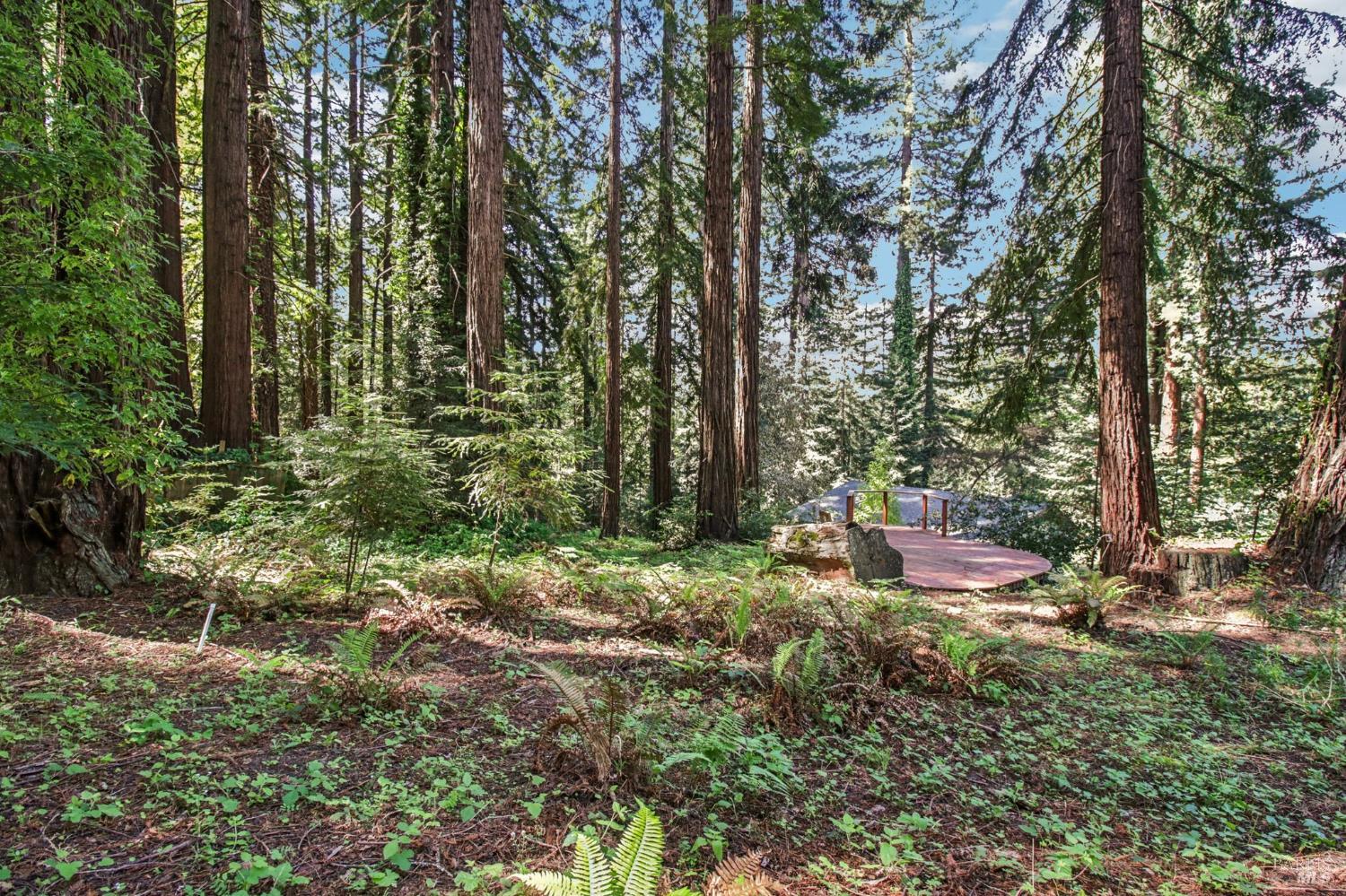 12480 Fiori Lane Sebastopol, CA 95472 - Photo 47 of 50
