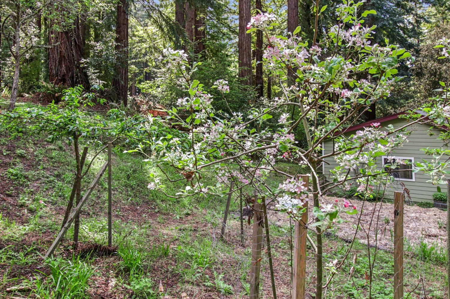 12480 Fiori Lane Sebastopol, CA 95472 - Photo 49 of 53