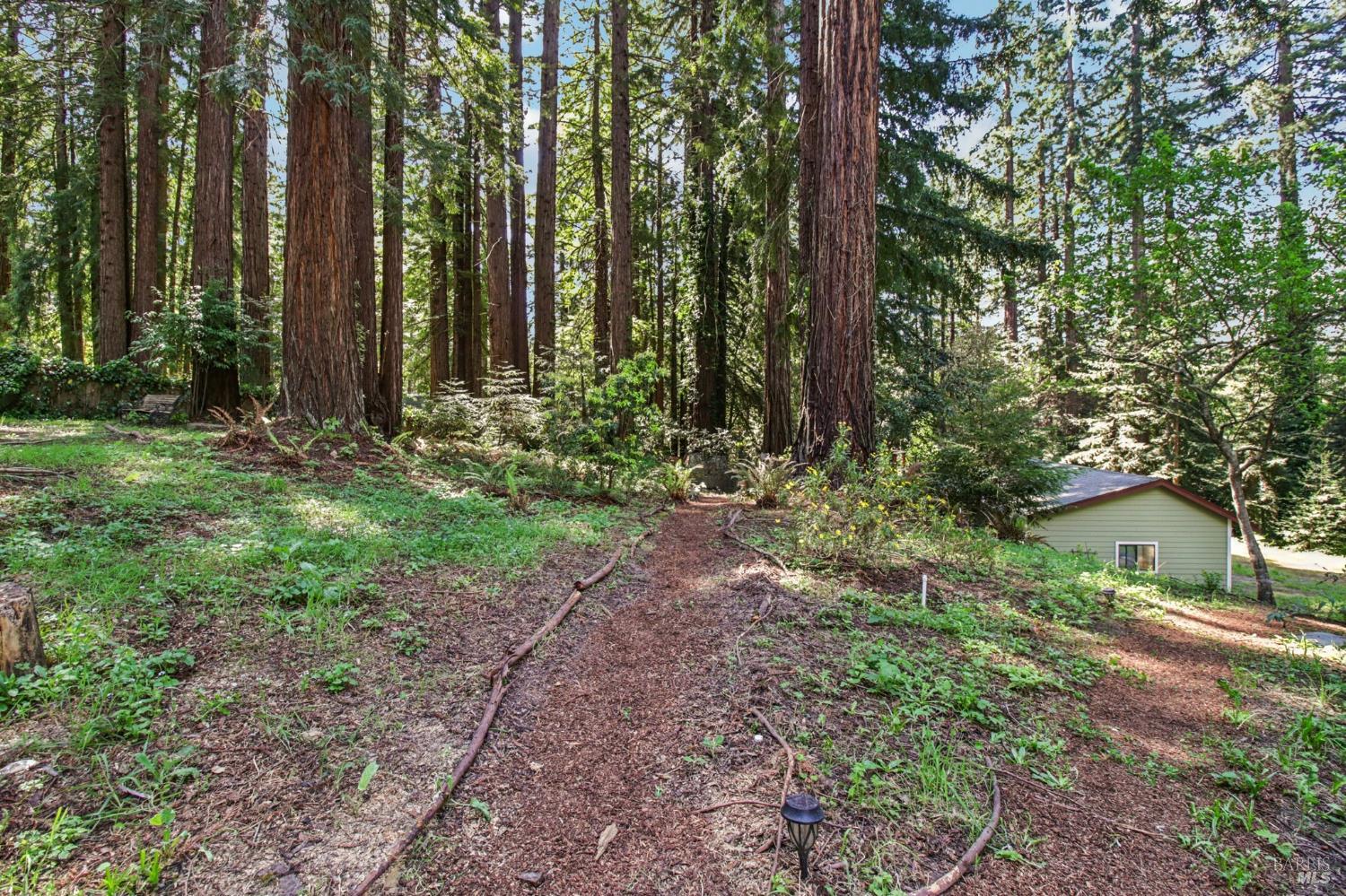 12480 Fiori Lane Sebastopol, CA 95472 - Photo 52 of 53