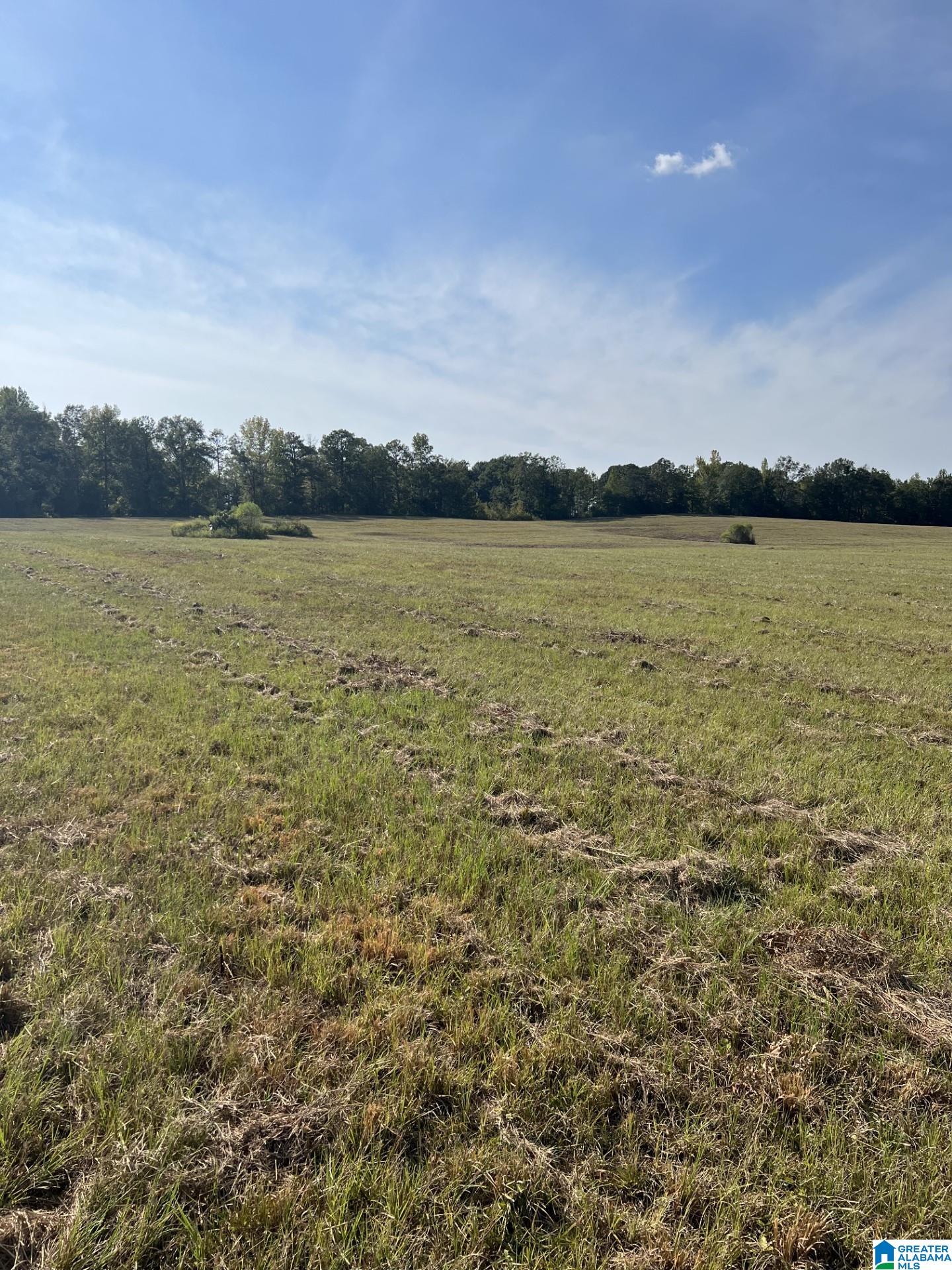 0 New Harmony Road Clanton, AL 35045 - Photo 3 of 14