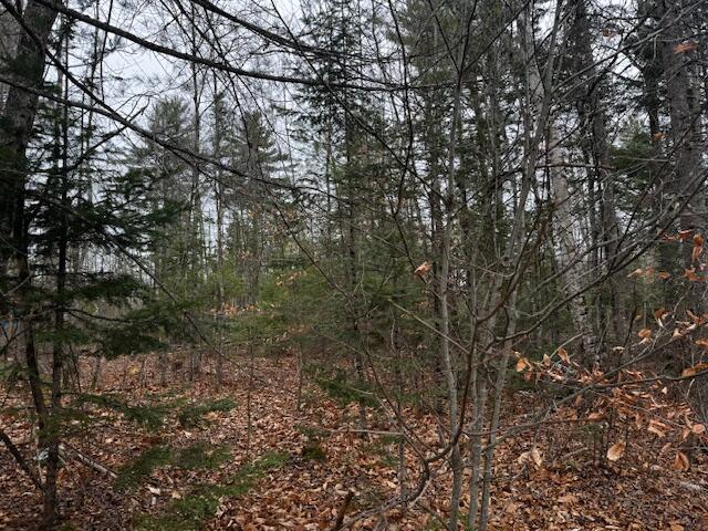 Lot 1 North Gee Road Palmyra, ME 04965 - Photo 1 of 5 IMG_1683