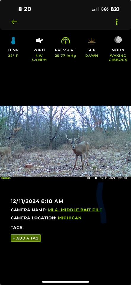 13980 12 12 Mile Road Rodney, MI 49342 - Photo 64 of 98