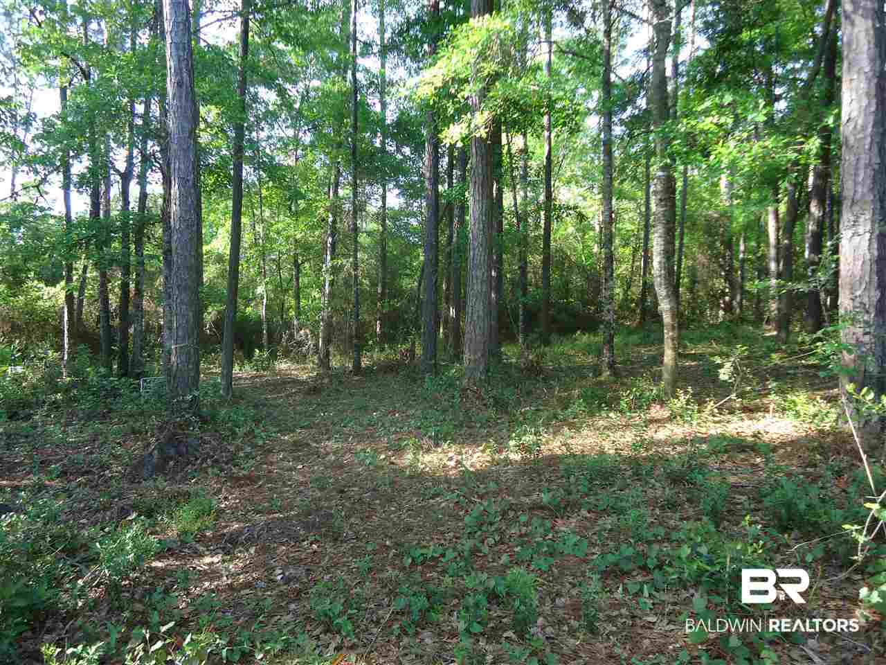 0 Hammock Road Elberta, AL 36530 - Photo 6 of 15