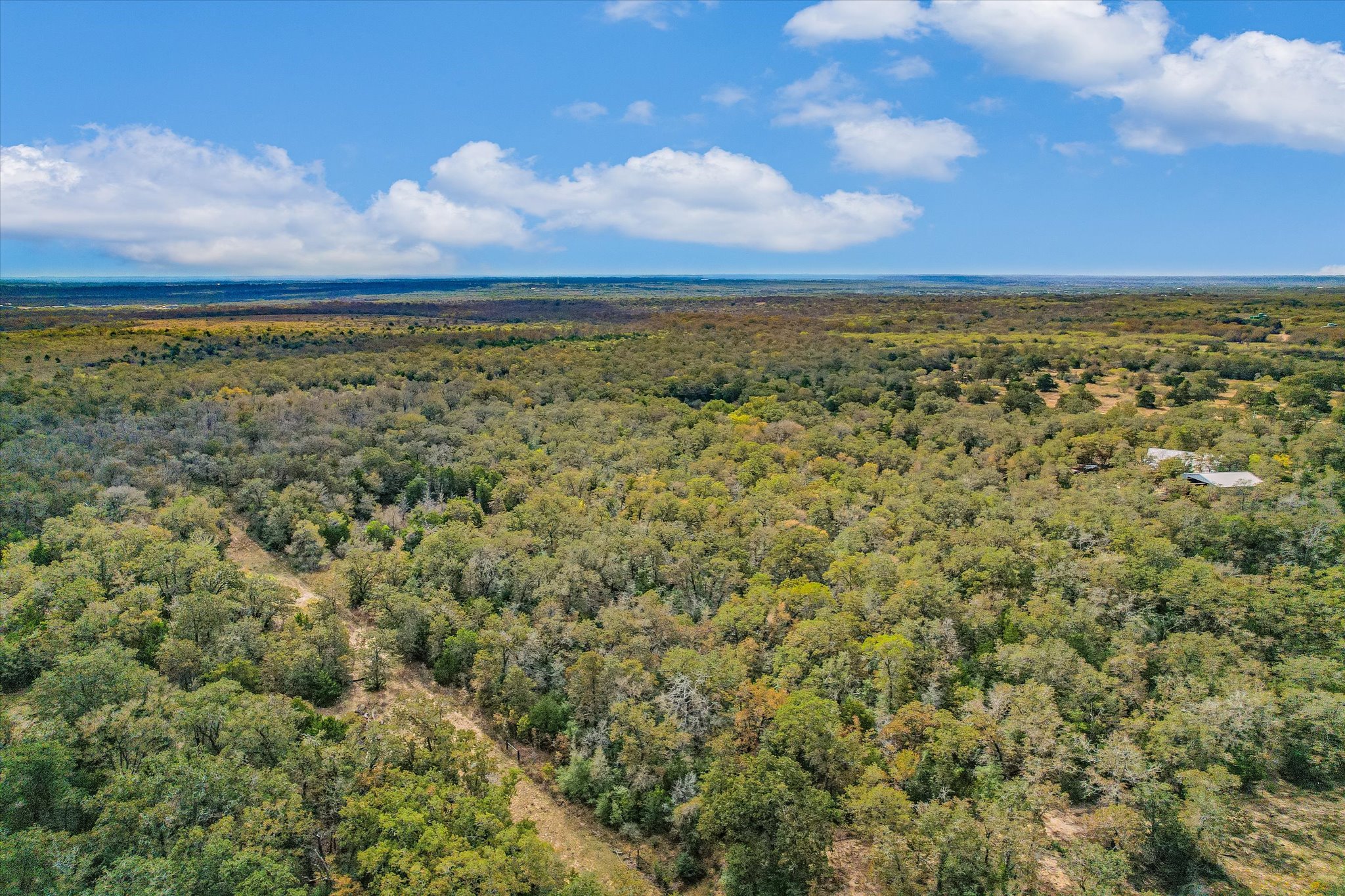 Tbd Porter Lane Lockhart, TX 78644 - Photo 4 of 10 Bird's eye view of a forest