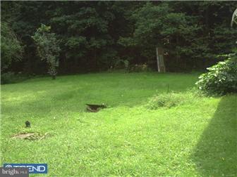 130 Heckman Road Temple, PA 19560 - Photo 5 of 6 Gallery Image 5