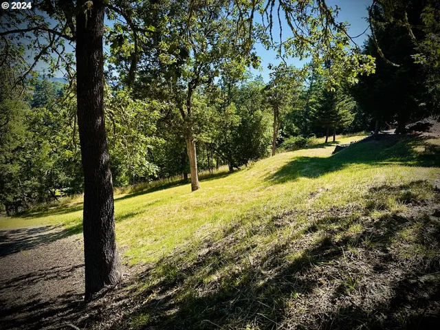 a view of a yard with trees