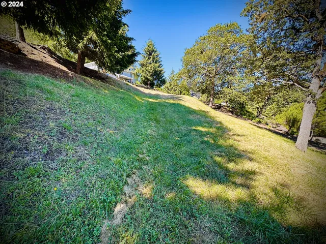 a view of outdoor space and yard