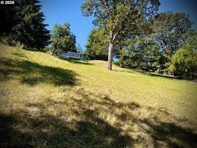 a view of an outdoor space and a yard