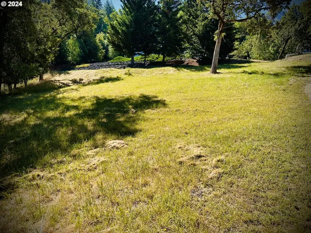 a view of a back yard