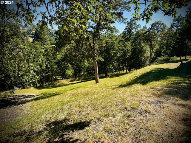 a view of a swimming pool with an outdoor space