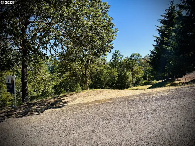 a view of an outdoor space with trees