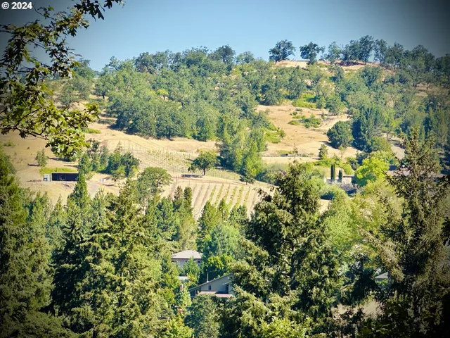 a view of a lake with a building in the background