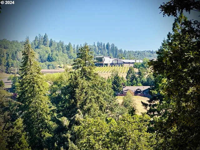 a view of an outdoor space and swimming pool