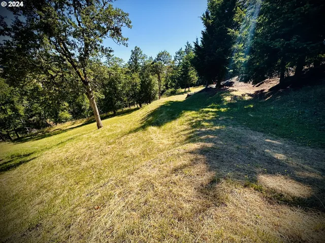 a view of yard with green space