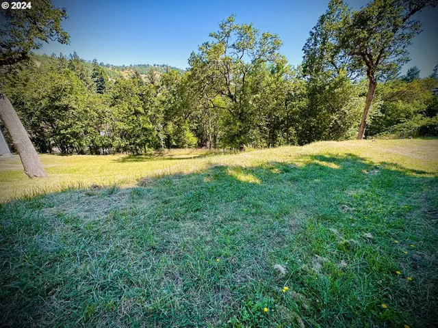 a view of yard with green space