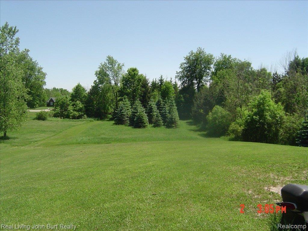 4656 Granger Road Oxford, MI 48371 - Photo 3 of 8 backyard