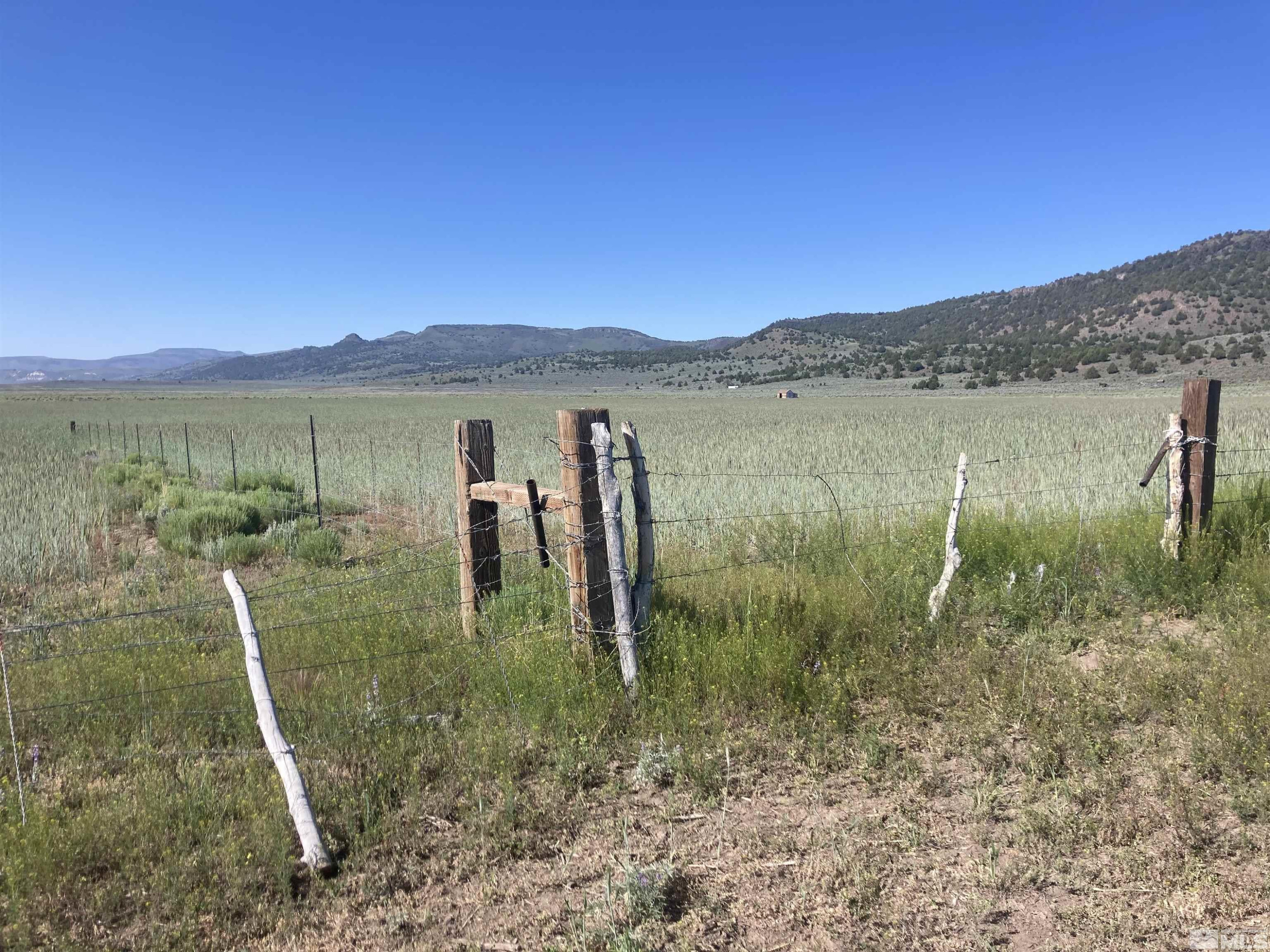 11069 Mosquito Road Gerlach, NV 89412 - Photo 17 of 21 Photo 18