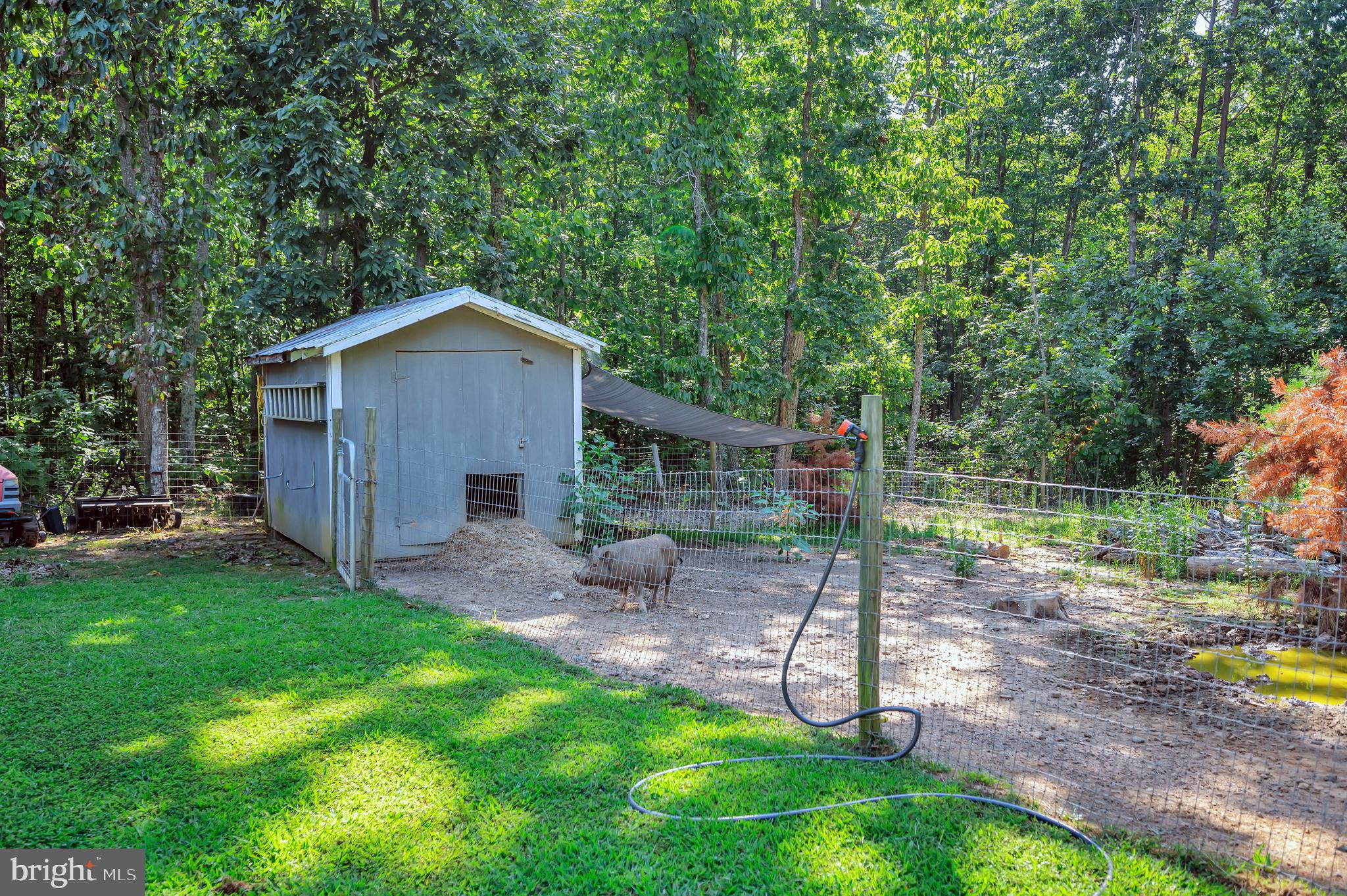 281 White Walnut Road Louisa, VA 23093 - Photo 37 of 46 Gallery Image 37