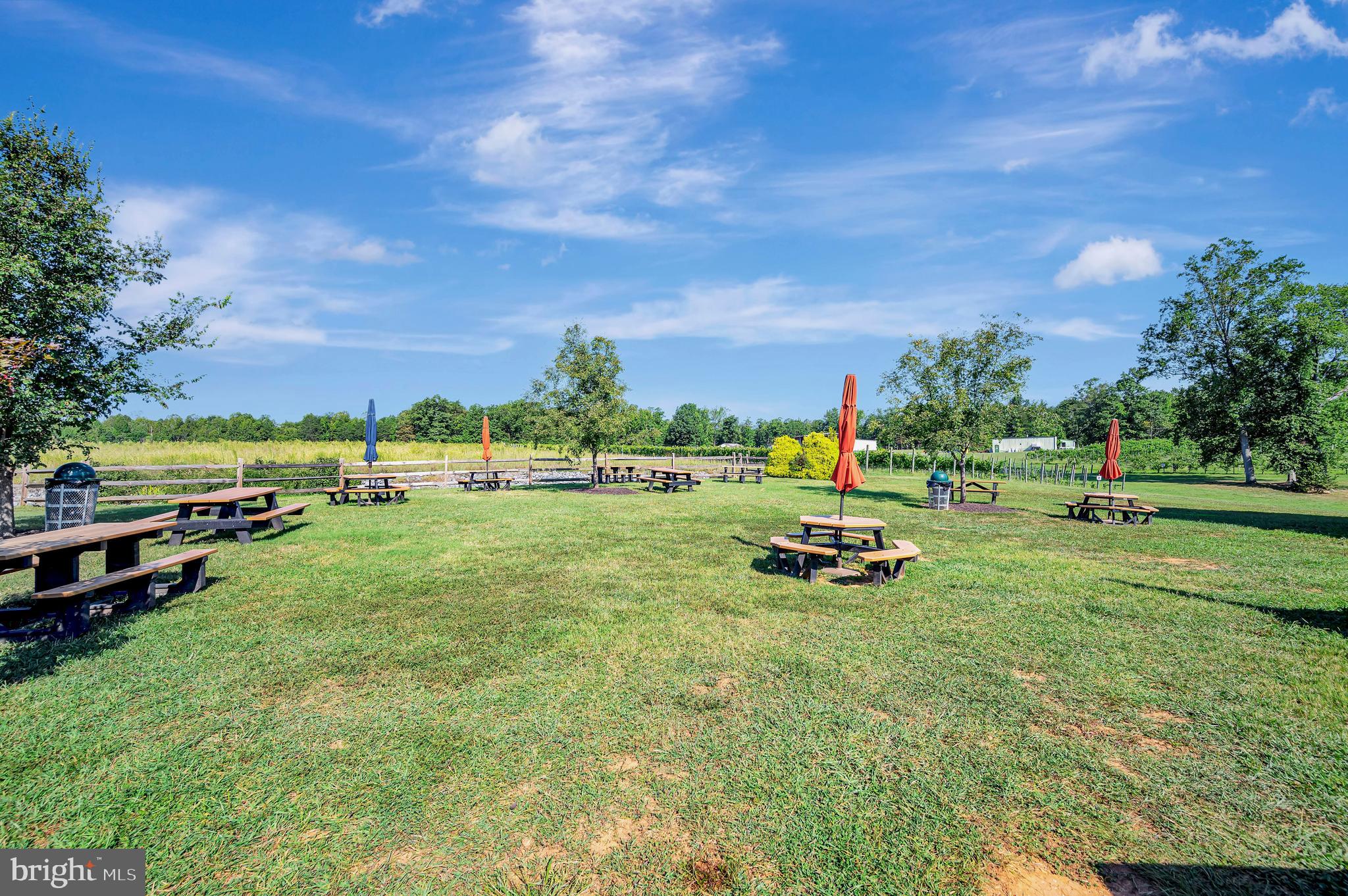 281 White Walnut Road Louisa, VA 23093 - Photo 44 of 46 Gallery Image 44
