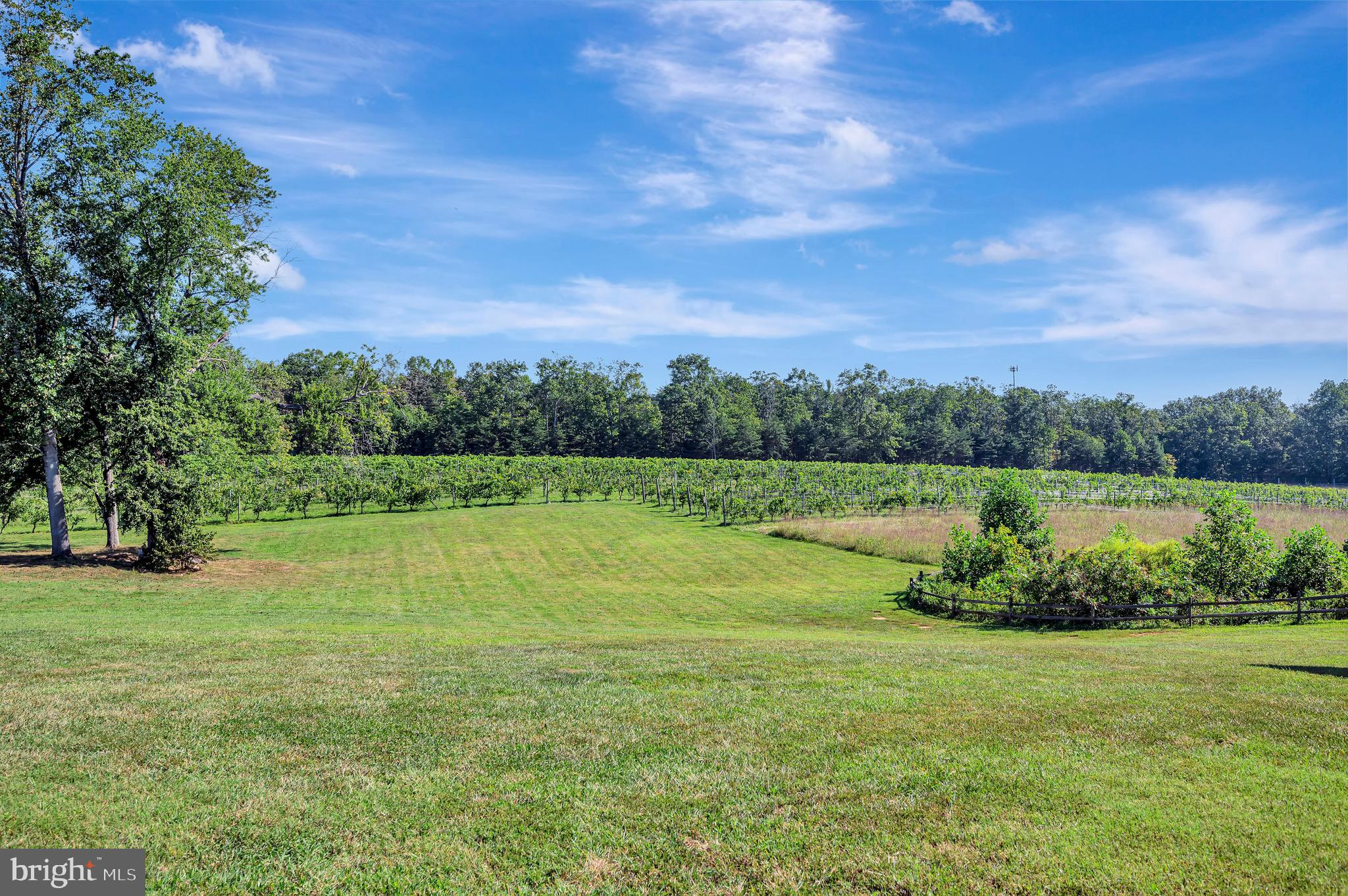 281 White Walnut Road Louisa, VA 23093 - Photo 45 of 46 Gallery Image 45