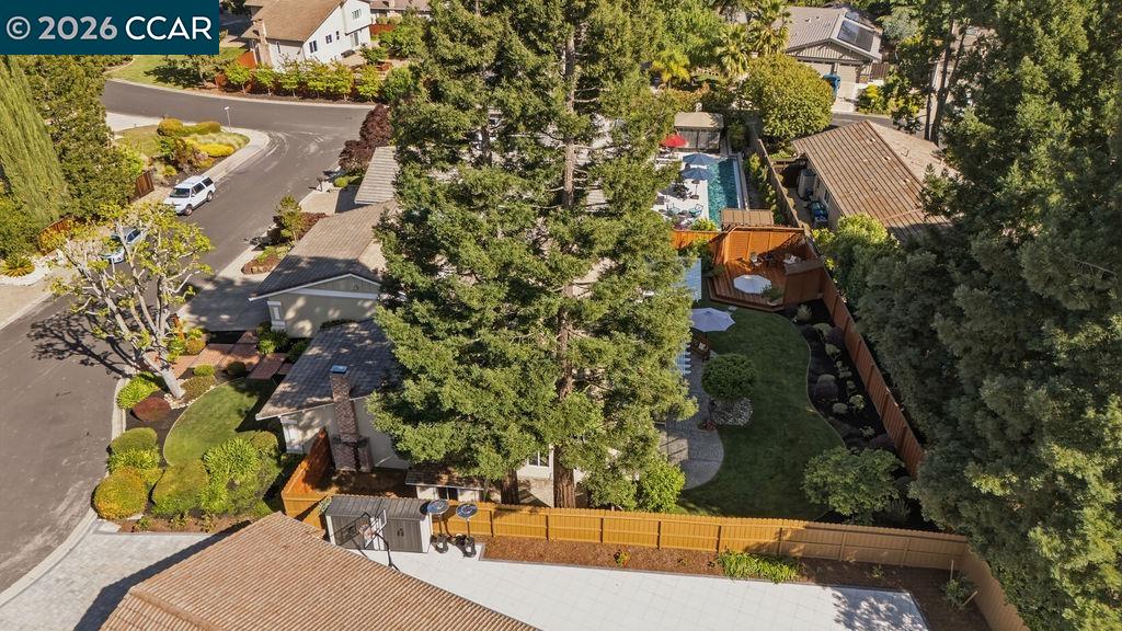 503 Haiti Court San Ramon, CA 94582 - Photo 42 of 53