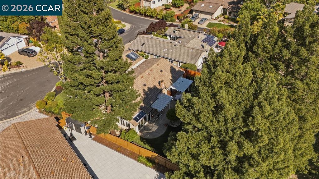 503 Haiti Court San Ramon, CA 94582 - Photo 43 of 53