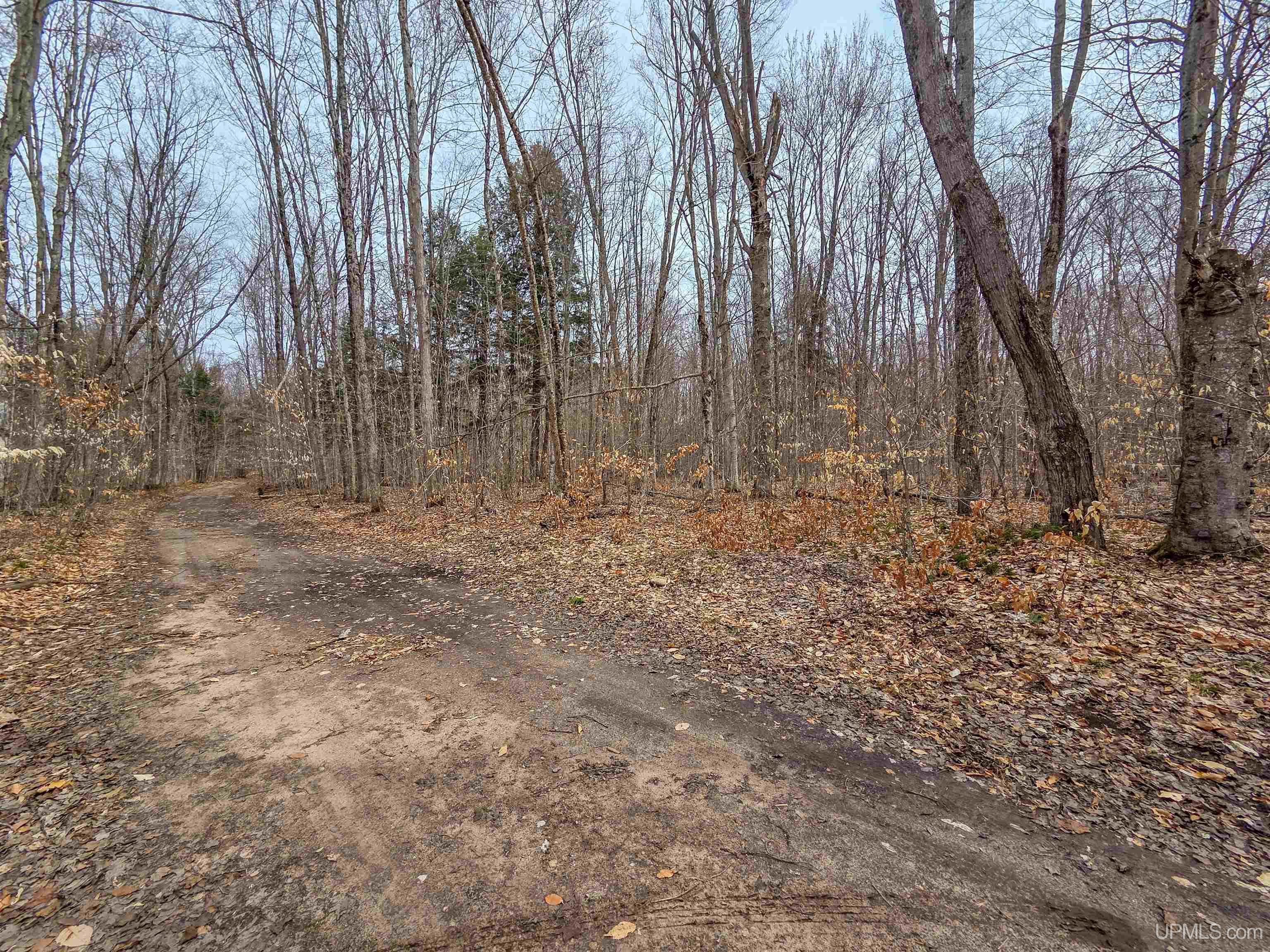 Tbd Stella Lake Road Wetmore, MI 49895 - Photo 13 of 18