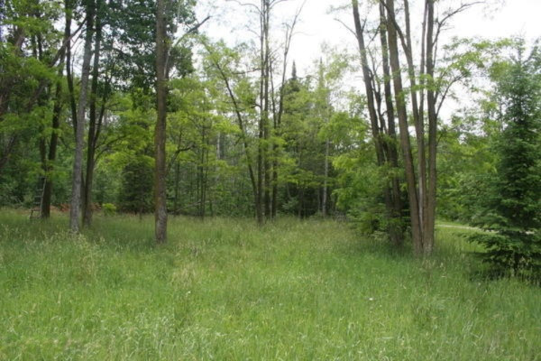 2508 Reber Road Fairview, MI 48621 - Photo 11 of 27 osc23