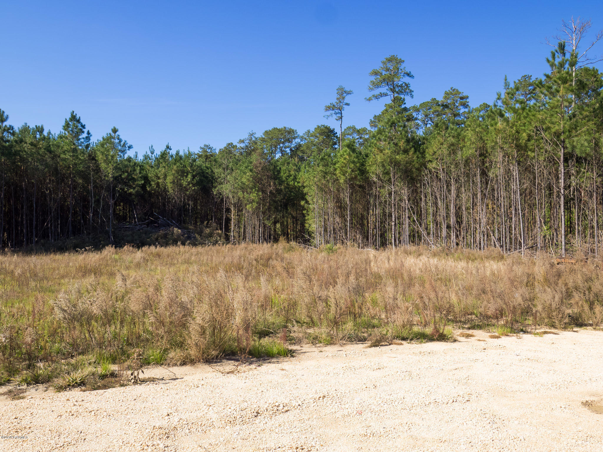 215 Mike Manuel Road Oberlin, LA 70655 - Photo 22 of 22 _1010013
