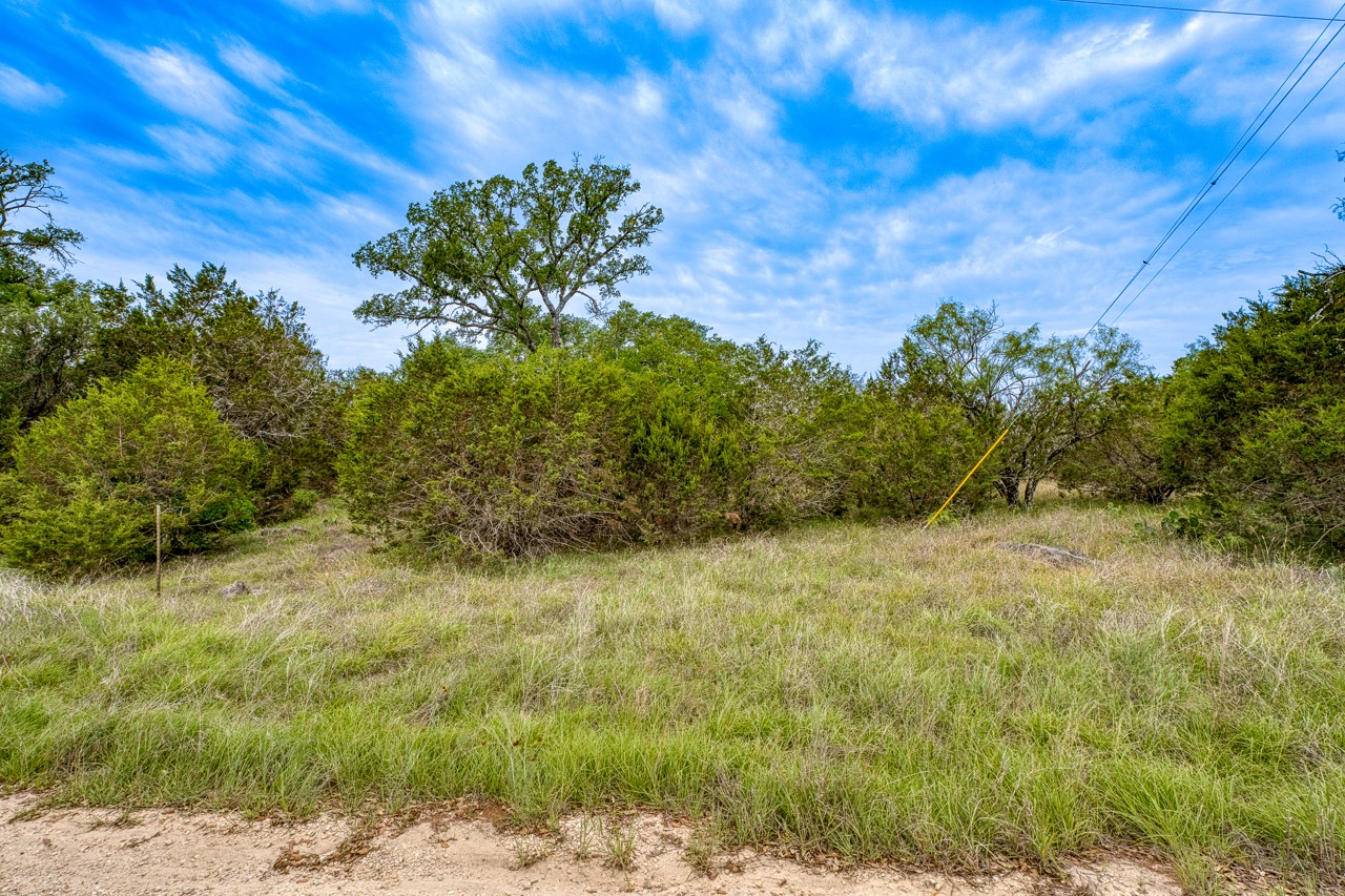1365 Pedernales Hills Road Johnson City, TX 78636 - Photo 14 of 31 a view of a yard