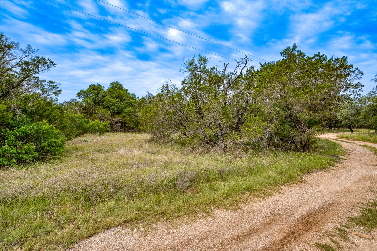 1365 Pedernales Hills Road Johnson City, TX 78636 - Photo 16 of 31 a view of a yard with an trees