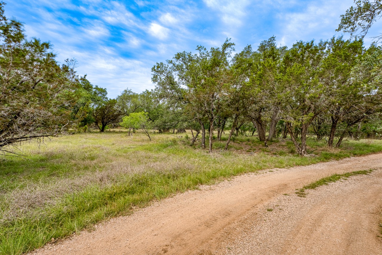 1365 Pedernales Hills Road Johnson City, TX 78636 - Photo 17 of 31 a view of a yard with plants and trees