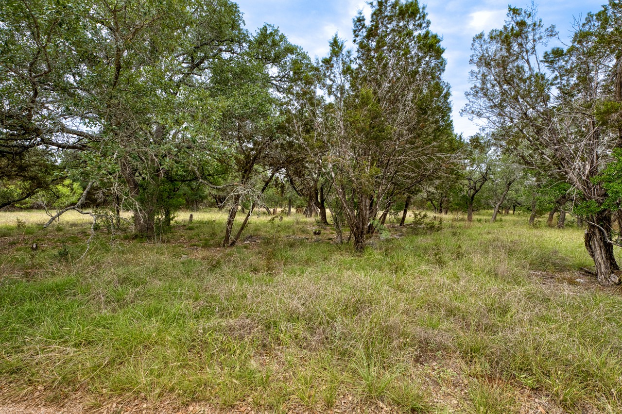 1365 Pedernales Hills Road Johnson City, TX 78636 - Photo 18 of 31 a view of outdoor space and yard