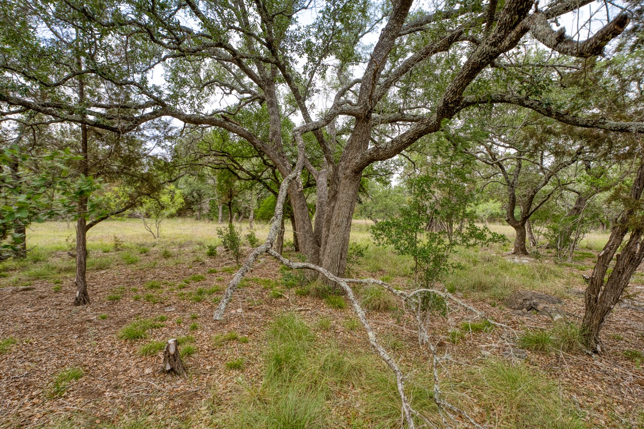 1365 Pedernales Hills Road Johnson City, TX 78636 - Photo 19 of 31 a view of a yard with trees