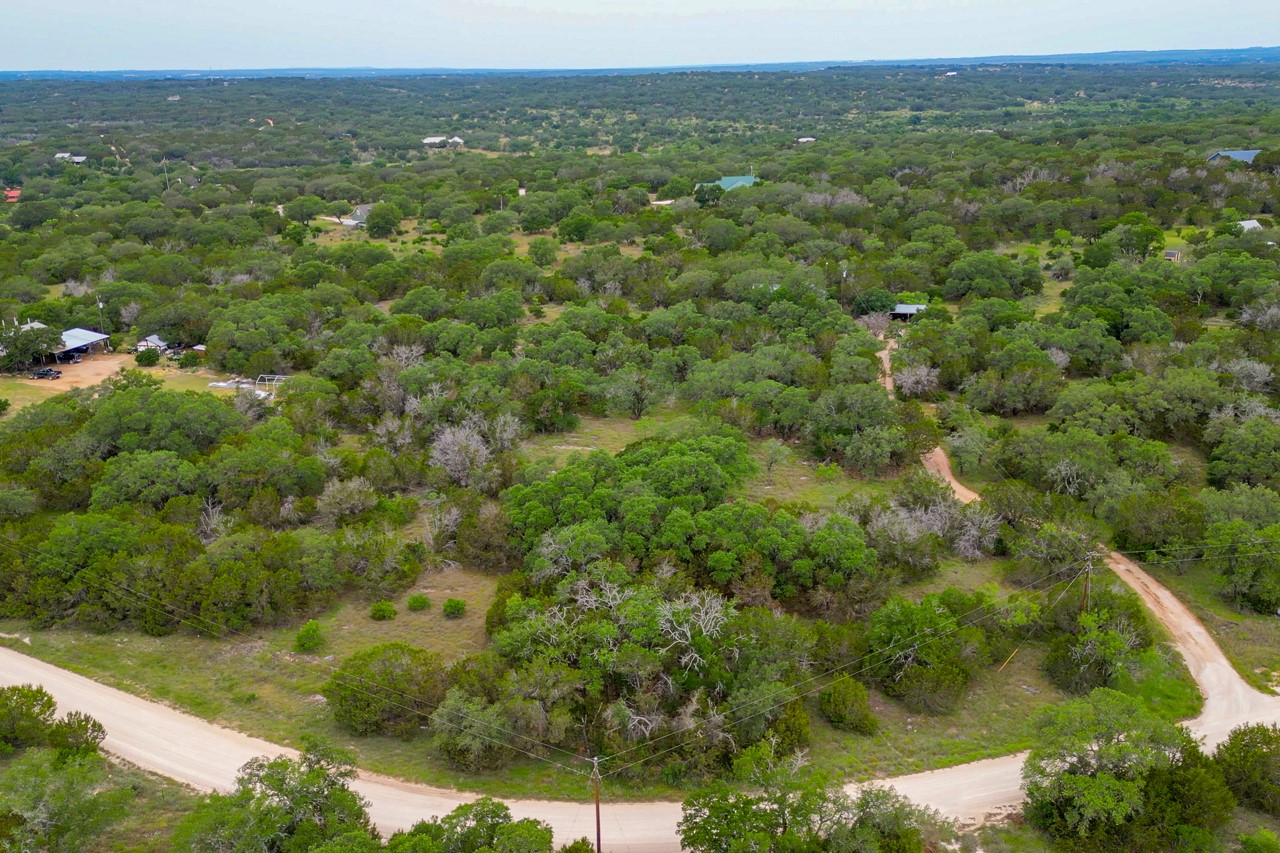 1365 Pedernales Hills Road Johnson City, TX 78636 - Photo 21 of 31 a view of a green field with lots of bushes