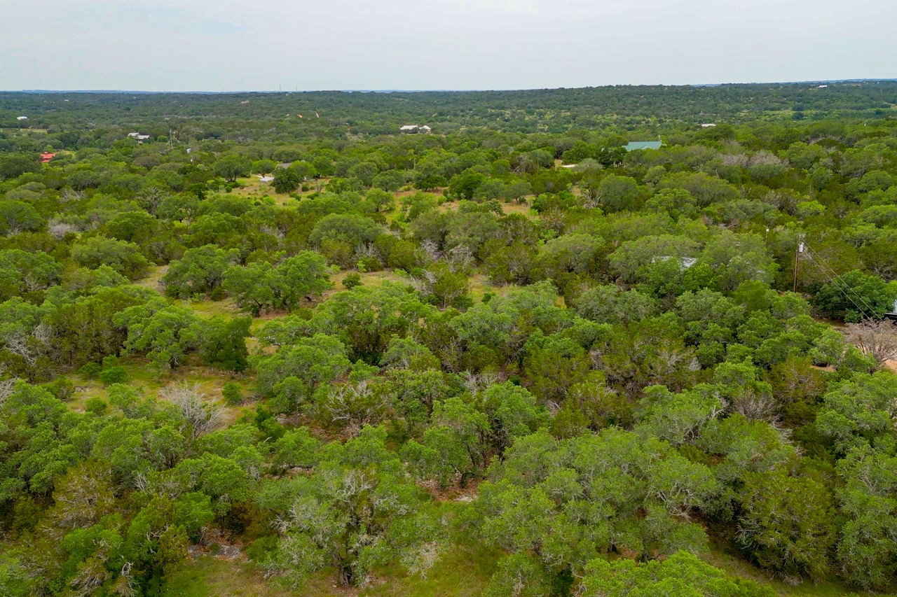 1365 Pedernales Hills Road Johnson City, TX 78636 - Photo 29 of 31 an aerial view of residential houses with outdoor space and trees