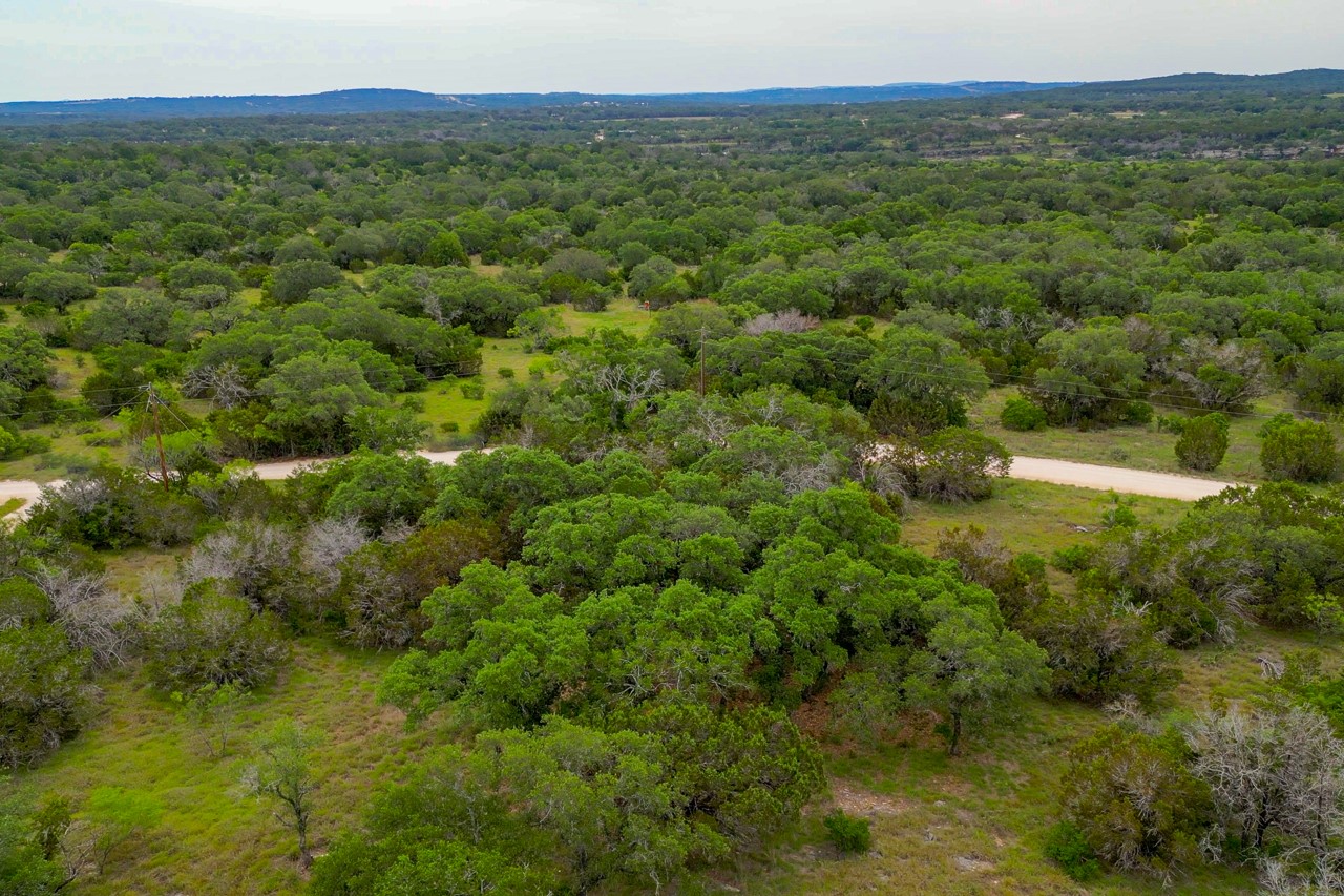 1365 Pedernales Hills Road Johnson City, TX 78636 - Photo 31 of 31 a view of a lush green forest with trees and some houses