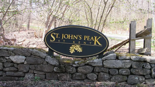 a view of a wall with a tree