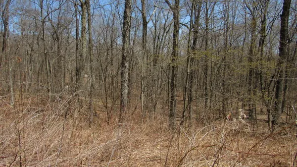 a view of outdoor space with trees