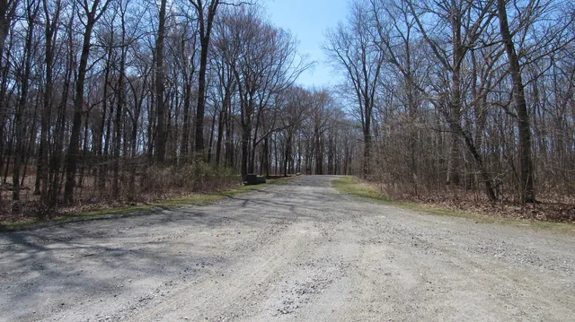 a view of an outdoor space with trees
