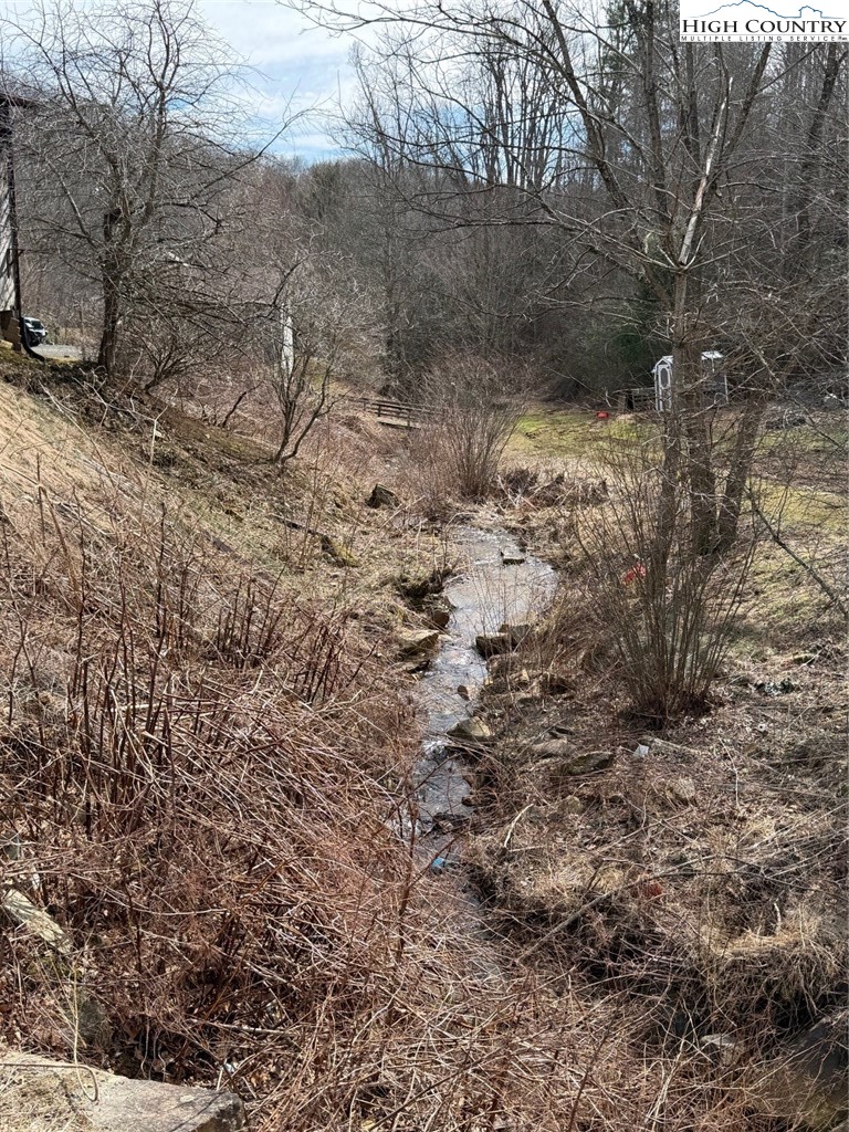 733 Clark Swift Road Vilas, NC 28692 - Photo 12 of 36 a view of a dry yard with trees