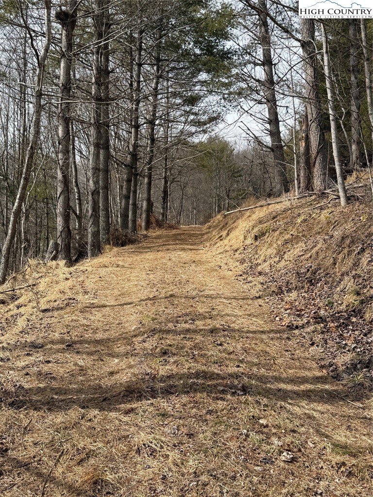 733 Clark Swift Road Vilas, NC 28692 - Photo 14 of 36 a view of side of a yard with trees