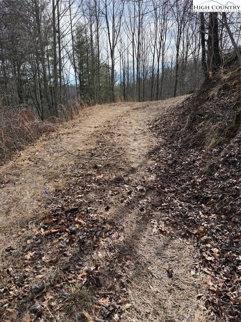 733 Clark Swift Road Vilas, NC 28692 - Photo 15 of 36 a view of a yard with large trees