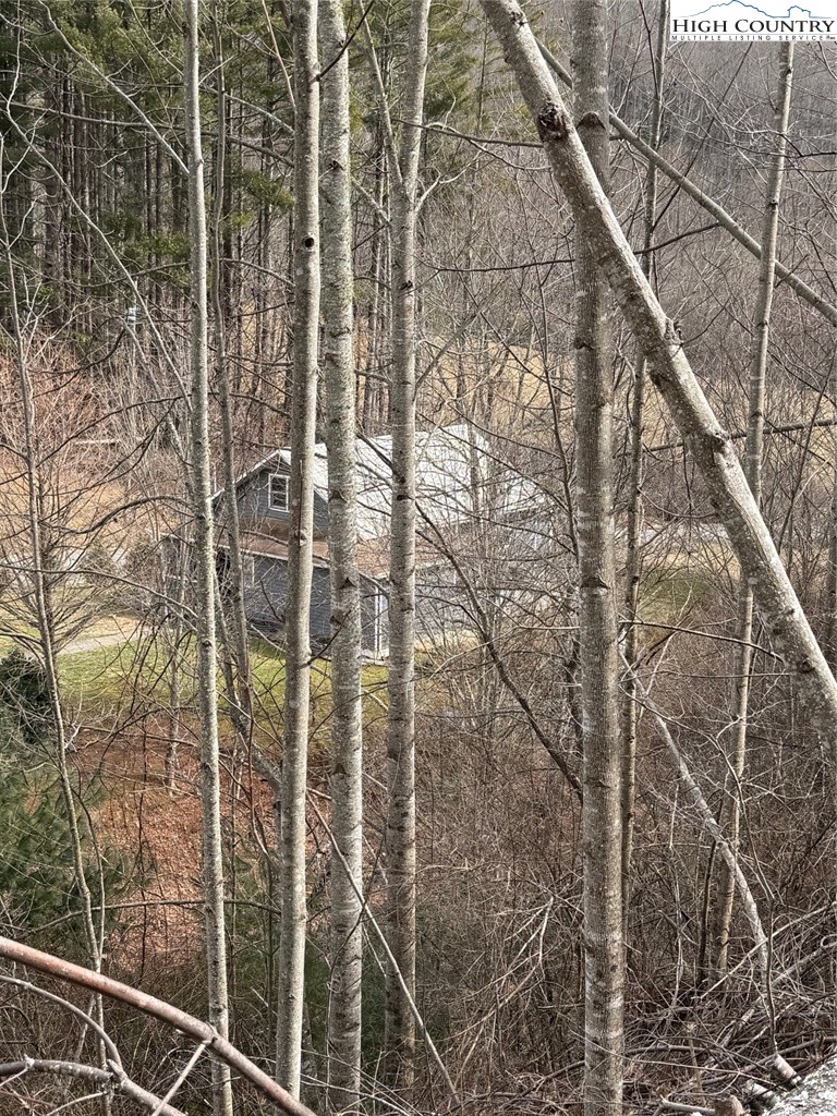 733 Clark Swift Road Vilas, NC 28692 - Photo 16 of 36 a view of a bathroom with a tree