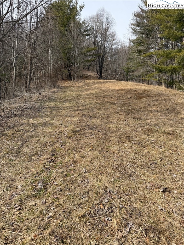 733 Clark Swift Road Vilas, NC 28692 - Photo 17 of 36 a view of a yard with large trees