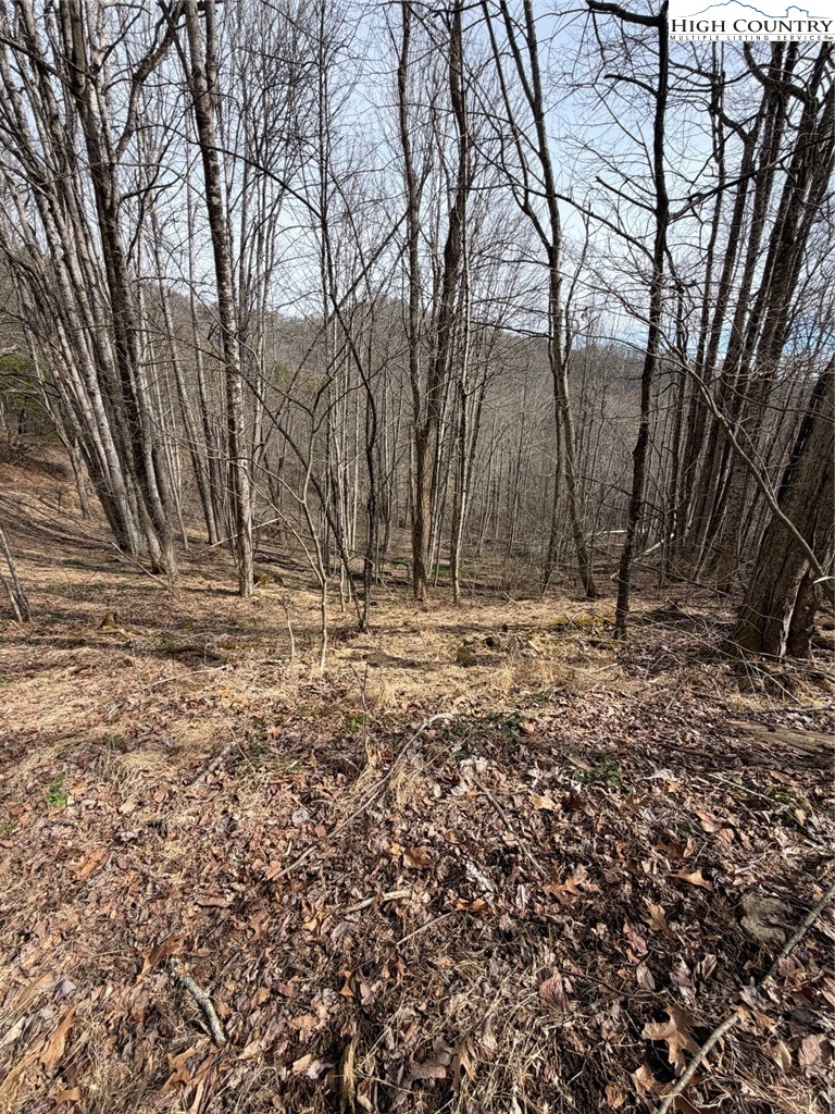 733 Clark Swift Road Vilas, NC 28692 - Photo 19 of 36 a view of covered with green space