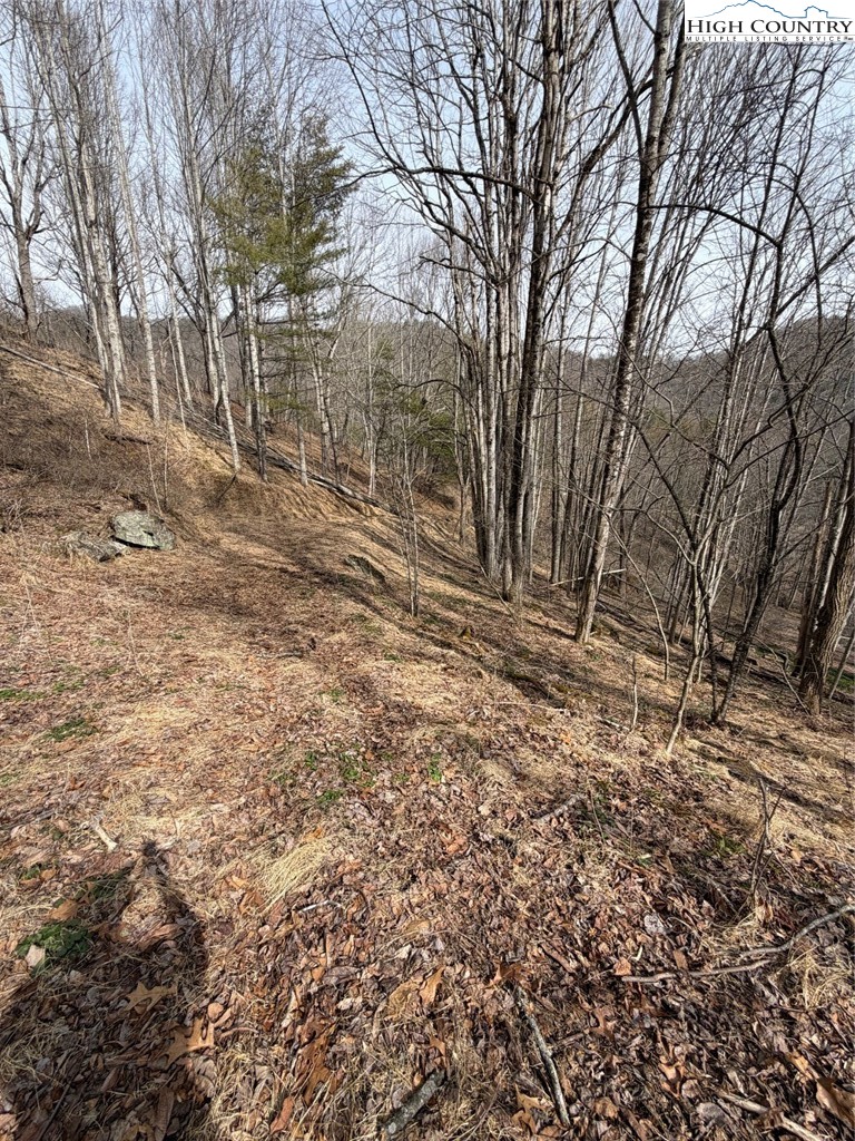 733 Clark Swift Road Vilas, NC 28692 - Photo 20 of 36 a backyard of a house with lots of green space