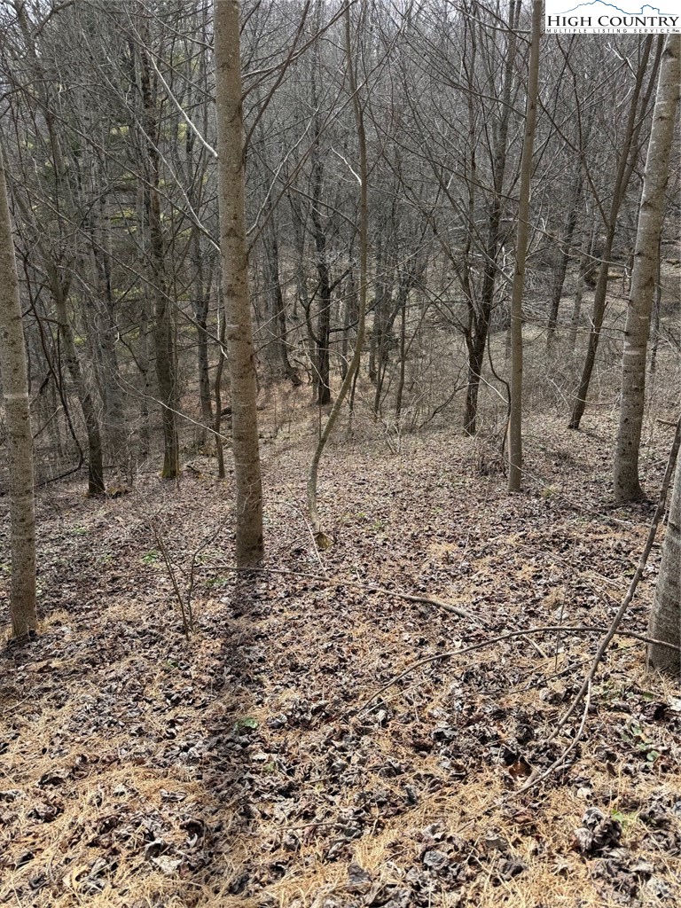 733 Clark Swift Road Vilas, NC 28692 - Photo 21 of 36 a view of empty area with trees