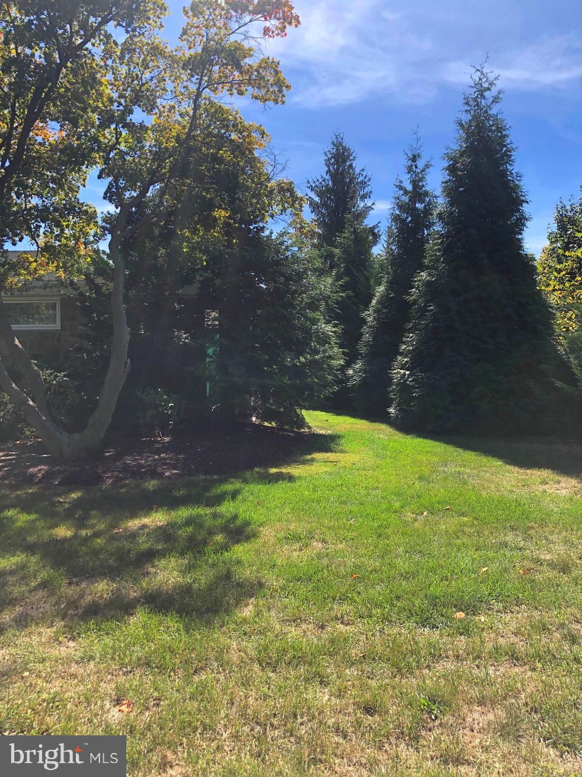 4101 Ridgeview Road Harrisburg, PA 17109 - Photo 14 of 34 Back Yard