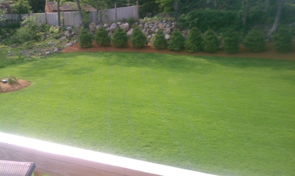 280 River St Extension Billerica, MA 01821 - Photo 22 of 23 a view of a yard